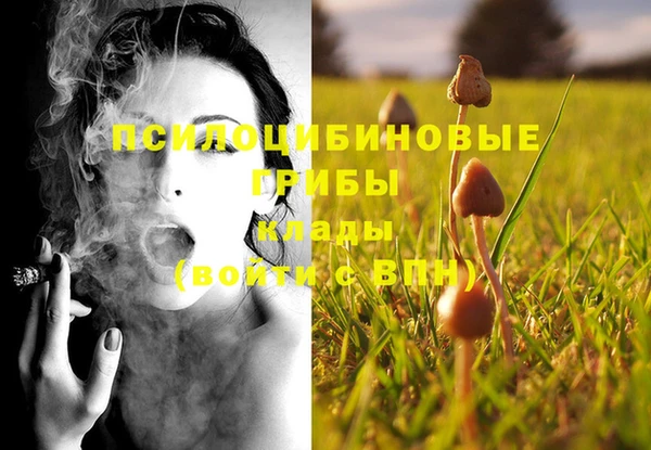 mdma Заводоуковск