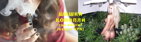 прущие грибы Заволжск
