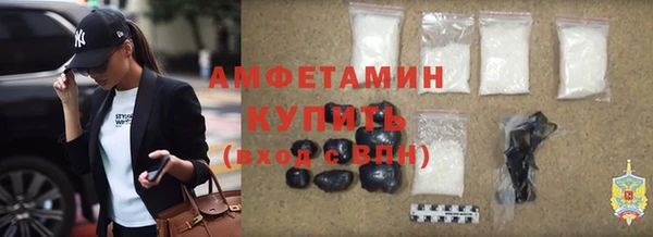 прущие грибы Заволжск