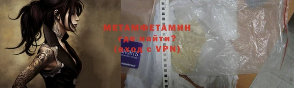 прущие грибы Заволжск