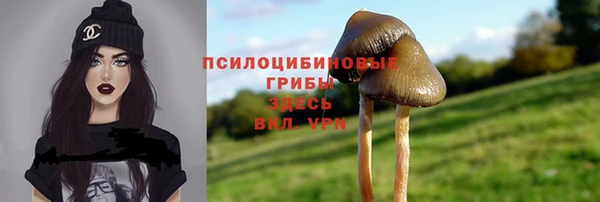 прущие грибы Заволжск