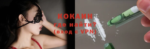 прущие грибы Заволжск
