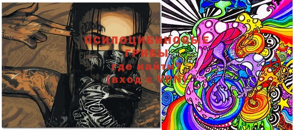 mdma Заводоуковск