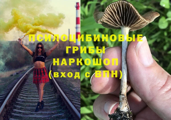 прущие грибы Заволжск