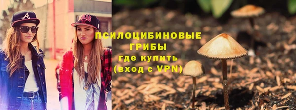 прущие грибы Заволжск