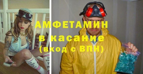 прущие грибы Заволжск